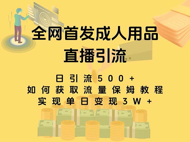 最新全网独创首发，成人用品直播引流获客暴力玩法，单日变现3w保姆级教程-暖阳网-优质付费教程和创业项目大全-沐颜网创资源