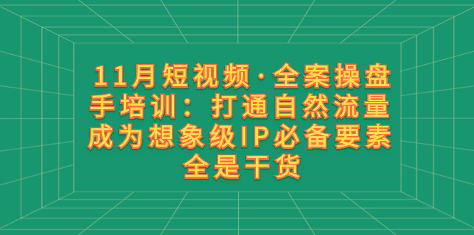 11月短视频·全案操盘手培训：打通自然流量 成为想象级IP必备要素 全是干货-暖阳网-优质付费教程和创业项目大全-沐颜网创资源