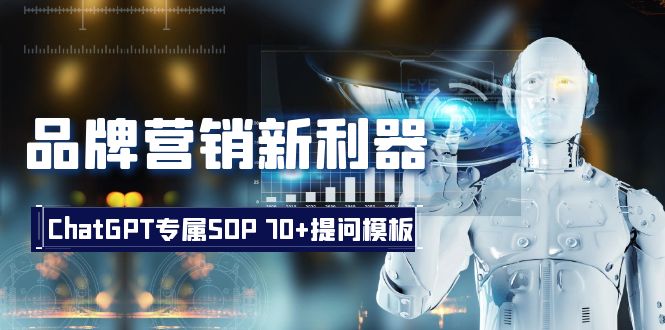 品牌营销新利器：ChatGPT专属SOP，70+提问模板-沐颜网创资源