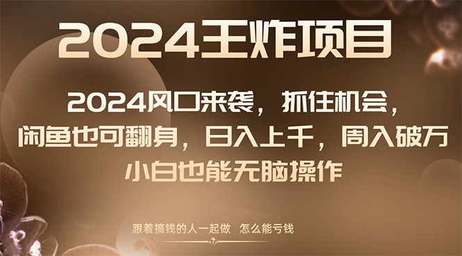 2024蓝海项目来临，把握机会，闲鱼平台也可以翻盘，日入过千，周入过万，新手…-沐颜网创资源
