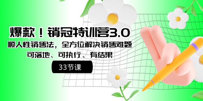 爆品！销售冠军夏令营3.0之顺人的本性销售法，多方位处理市场销售难点、可落地式、可执…-沐颜网创资源