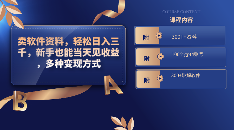 卖软件材料，轻轻松松日入三千，初学者也可以当日见盈利，多种多样变现模式，（附300…-沐颜网创资源