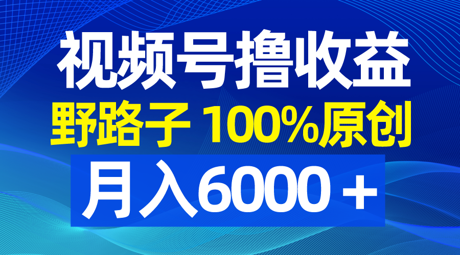 微信视频号歪门邪道撸盈利，100%原创设计，一条条爆品，月收入6000＋-沐颜网创资源