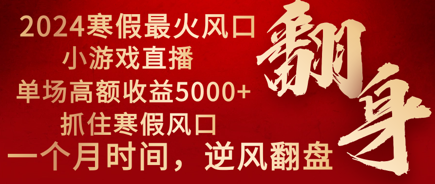 2024年最红假期蓝海项目 小游戏直播 场均盈利5000 把握住出风口 一个月立即拿车-沐颜网创资源