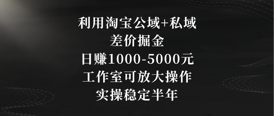 运用淘宝网公域流量 公域价格差掘金队，日赚1000-5000元，个人工作室可变大实际操作，实际操作…-沐颜网创资源