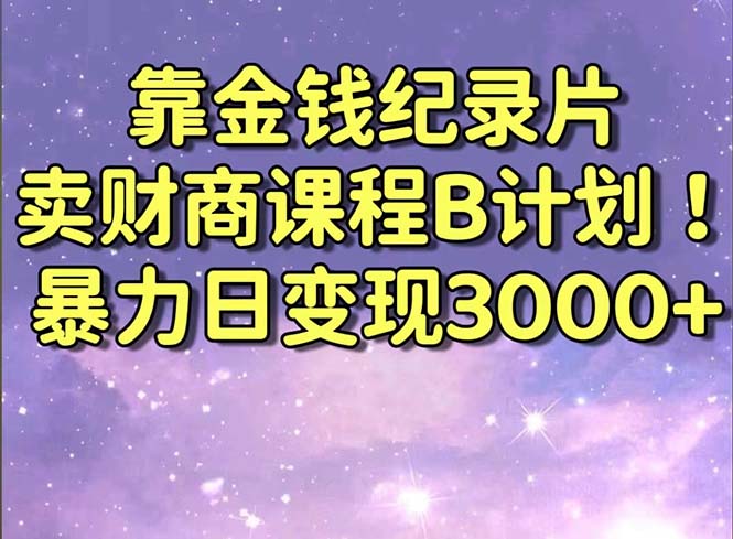 靠钱财纪实片卖财商课程B方案！暴力行为日转现3000 ，喂食式干货知识实例教程！-沐颜网创资源