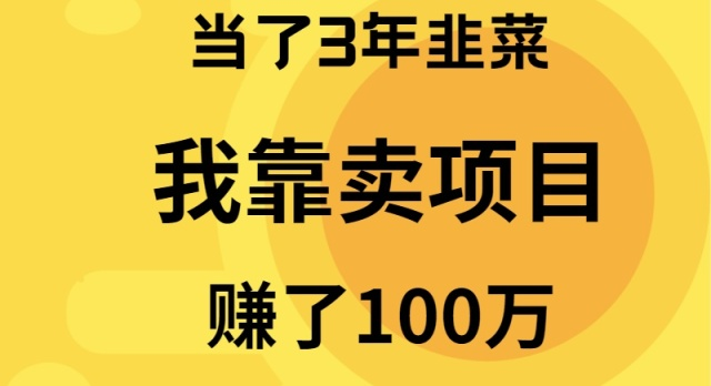 当了3年韭菜，我靠卖项目赚了100万-沐颜网创资源