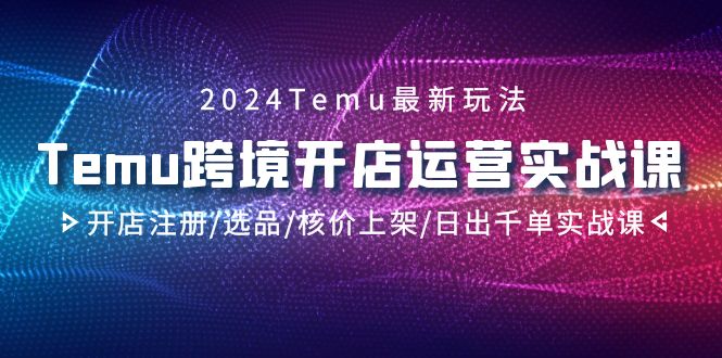 2024Temu跨境开店运营实战课，开店注册/选品/核价上架/日出千单实战课-沐颜网创资源