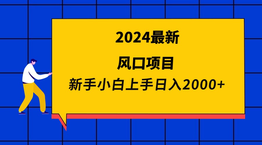 2024全新蓝海项目 新手入门日入2000-沐颜网创资源