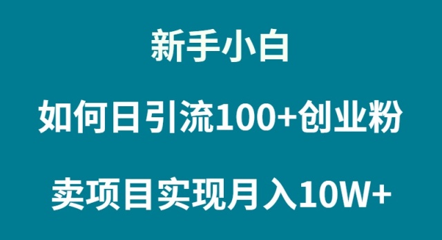 新手入门怎样通过卖项目完成月入10W-沐颜网创资源