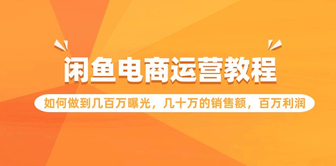 闲鱼平台网店运营实例教程：怎样做到上百万曝出，几十万的销售总额，上百万盈利-沐颜网创资源
