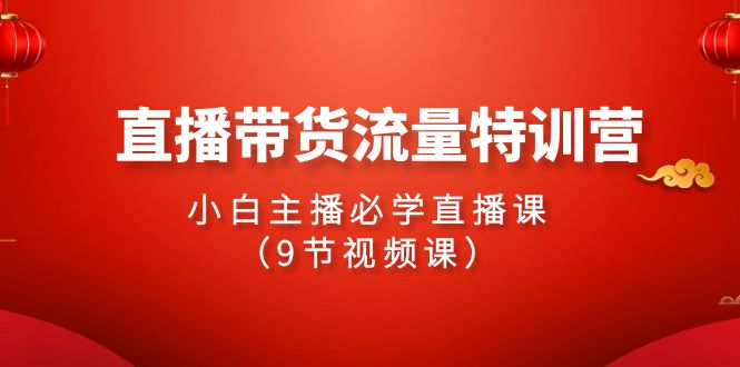 2024直播卖货总流量夏令营，新手网络主播必会视频课堂-沐颜网创资源