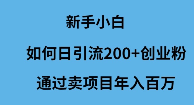 新手小白如何日引流200+创业粉通过卖项目年入百万-沐颜网创资源