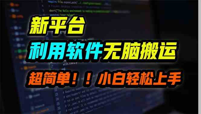新平台用软件无脑搬运，月赚10000+，小白也能轻松上手-沐颜网创资源