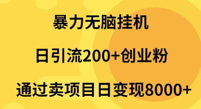 暴力行为没脑子放置挂机日引流方法200 自主创业粉根据卖项目日转现2000-沐颜网创资源