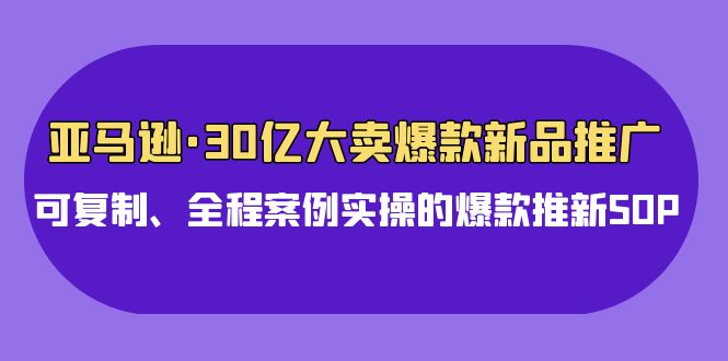 亚马逊平台30亿·热销爆品新品推广，复制推广、全过程实例实际操作的爆款上新SOP-沐颜网创资源