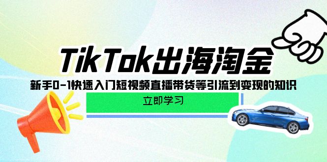 TikTok-出航挖金，初学者0-1快速上手短视频带货卖货等引导到快速变现专业知识-沐颜网创资源