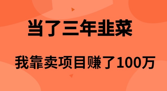当上3年韭莱，卧槽卖项目挣了100万-沐颜网创资源