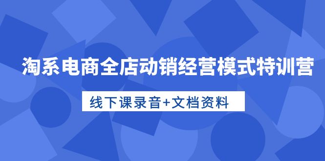 淘宝电子商务全店动销运营模式夏令营，面授课音频 档案文件-沐颜网创资源