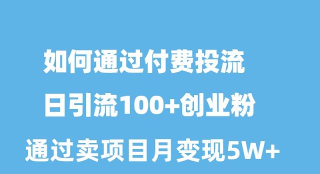 怎样通过付钱投流日引流方法100 自主创业粉月转现5W-沐颜网创资源