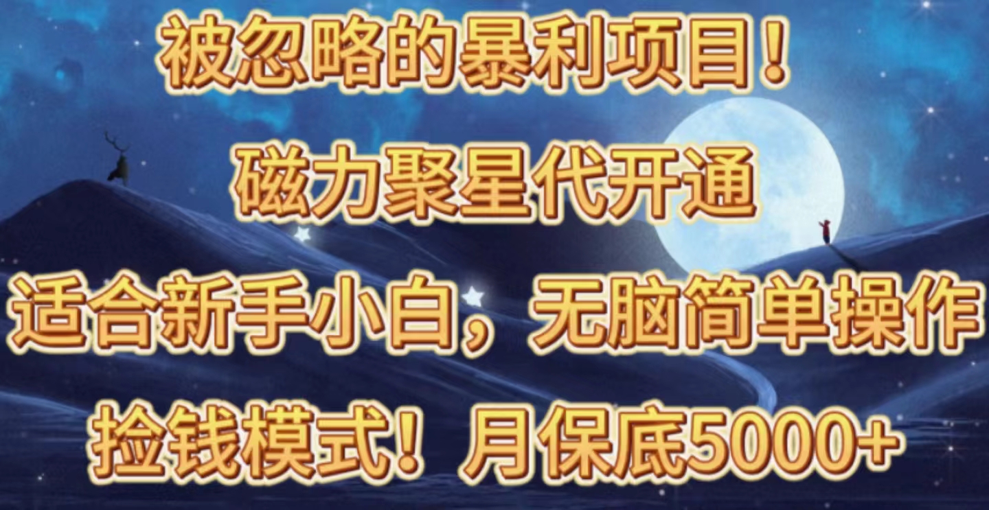被忽视赚钱项目！磁力聚星代开启拾钱方式，轻轻松松月入五六千-沐颜网创资源