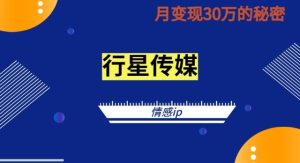 2024抖音情感ip项目单月变现30w的秘密全新蓝海赛道-沐颜网创资源