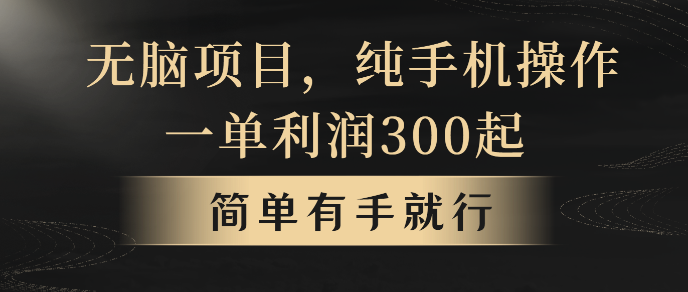 没脑子新项目，一单几百元，轻轻松松月入5w ，看了就可以直接实际操作-沐颜网创资源