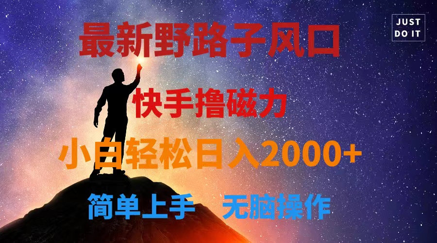 最新风口！快手撸磁力，野路子，小白无脑操作日入2000+-沐颜网创资源