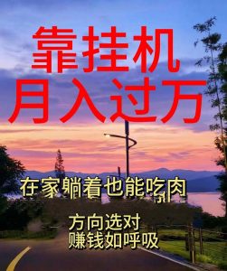 靠挂机，日入1000+，躺着也能吃肉，电脑手机都可挂-沐颜网创资源