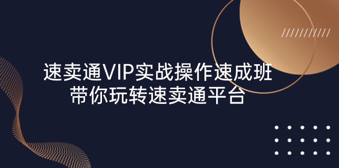 速卖通 VIP实战操作-速成班，带你玩转速卖通平台-沐颜网创资源