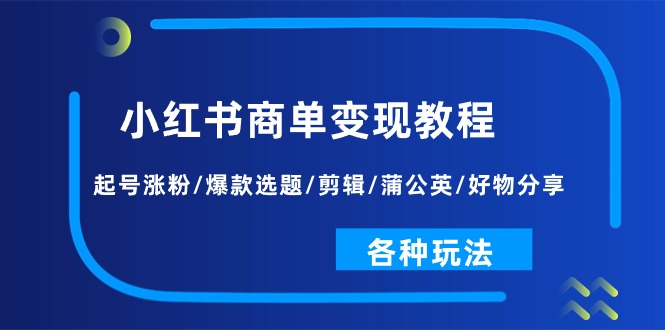 小红书商单变现教程：起号涨粉/爆款选题/剪辑/蒲公英/好物分享/各种玩法-沐颜网创资源