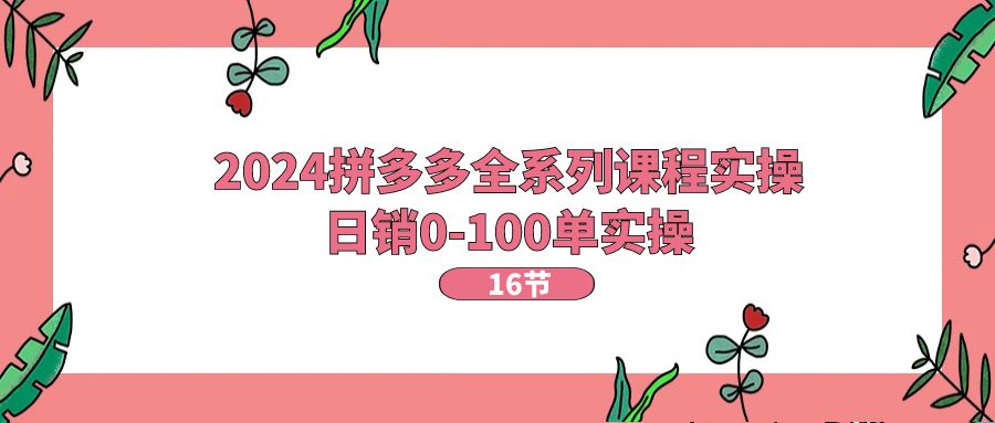 2024拼多多全系列课程实操，日销0-100单实操【16节课】-沐颜网创资源