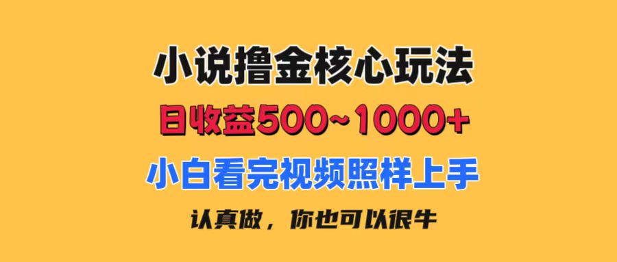 小说撸金核心玩法，日收益500-1000+，小白看完照样上手，0成本有手就行-沐颜网创资源