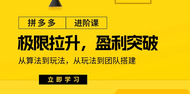 拼多多·进阶课：极限拉升/盈利突破：从算法到玩法 从玩法到团队搭建-18节-沐颜网创资源