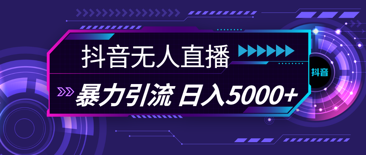 抖音无人在线，爆利引流方法，日入5000-沐颜网创资源