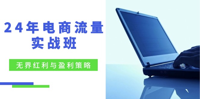 24年电商流量实战班：无界 红利与盈利策略，终极提升/关键词优化/精准…-沐颜网创资源