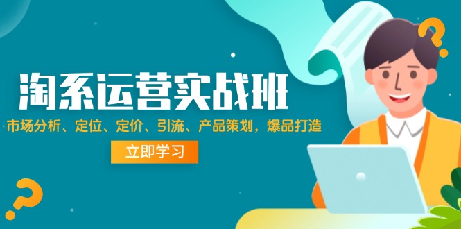 淘系运营实战班：市场分析、定位、定价、引流、产品策划，爆品打造-沐颜网创资源