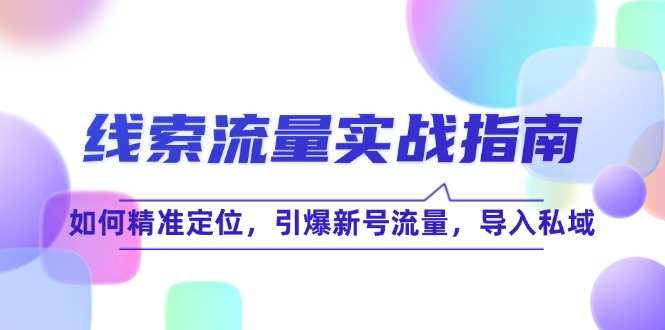 线 索 流 量-实战指南：如何精准定位，引爆新号流量，导入私域-沐颜网创资源