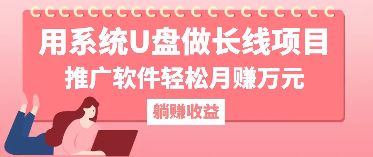 用系统U盘做长线项目，推广软件轻松月赚万元-沐颜网创资源