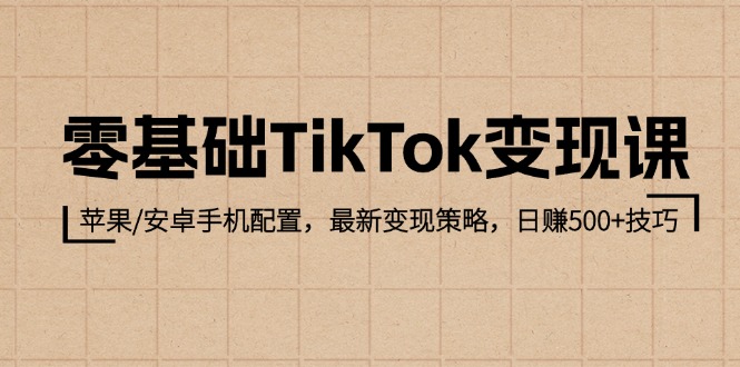 零基础TikTok变现课：苹果/安卓手机配置，最新变现策略，日赚500+技巧-沐颜网创资源