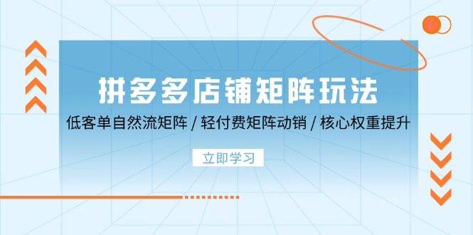 拼多多店铺矩阵玩法：低客单自然流矩阵 / 轻付费矩阵 动销 / 核心权重提升-沐颜网创资源