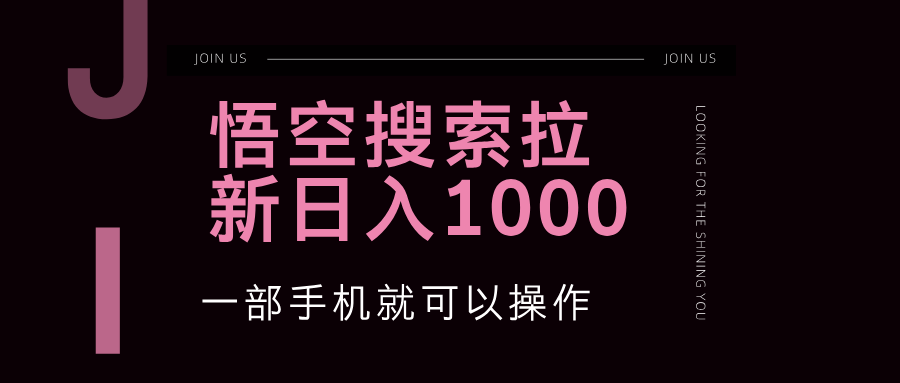 悟空搜索类拉新 蓝海项目 一部手机就可以操作 教程非常详细-沐颜网创资源