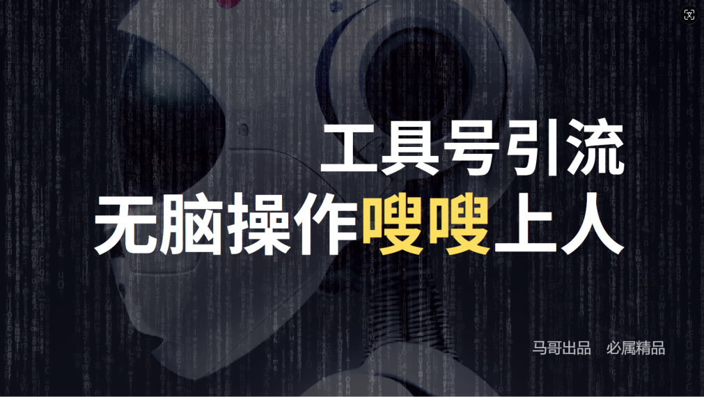 24年抖音最新工具号日引流300+创业粉，日入5000+-沐颜网创资源