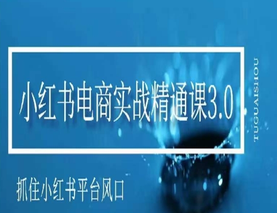 小红书电商实战精通课3.0，抓住小红书平台的风口，不错过有一个赚钱的机会-沐颜网创资源