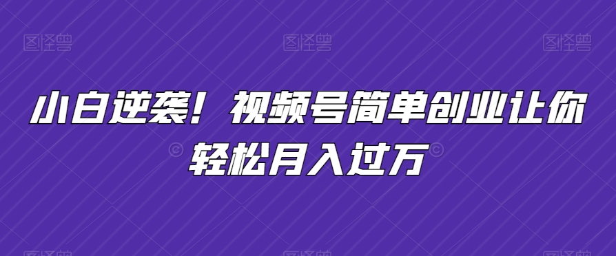 小白逆袭！视频号简单创业让你轻松月入过万-沐颜网创资源