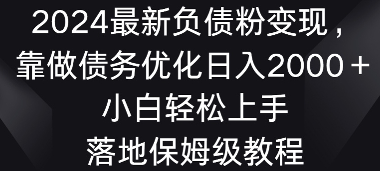 2024最新负债粉变现，靠做债务优化日入2000＋小白轻松上手-沐颜网创资源