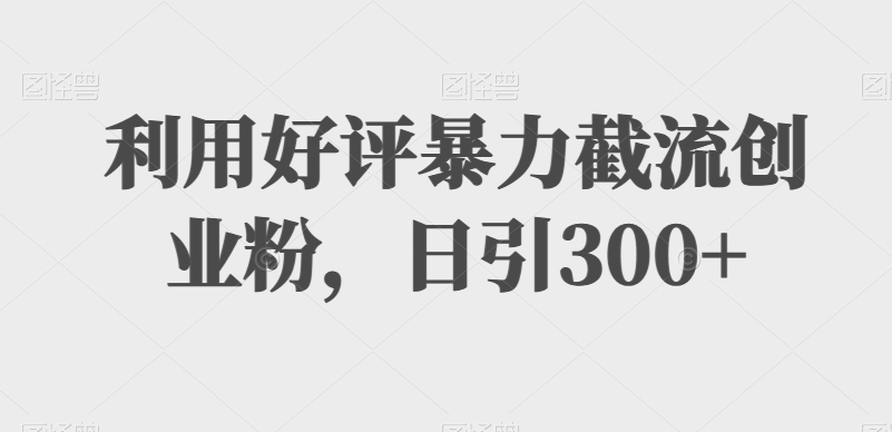 利用好评暴力截流创业粉，日引300+-沐颜网创资源