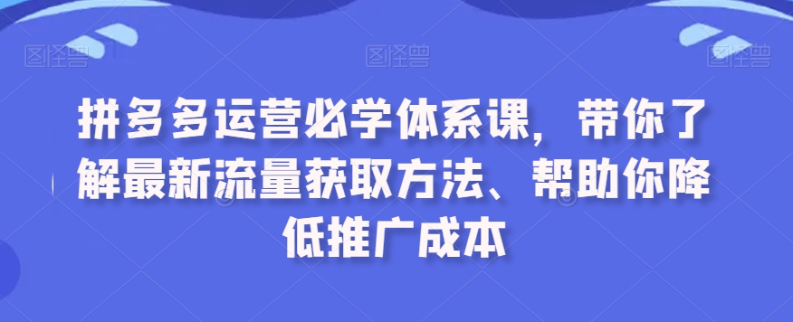 拼多多运营必学体系课，带你了解最新流量获取方法、帮助你降低推广成本-沐颜网创资源