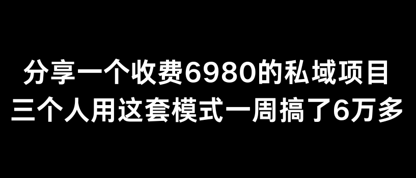 分享一个外面卖6980的私域项目三个人用这套模式一周搞了6万多【揭秘】-沐颜网创资源