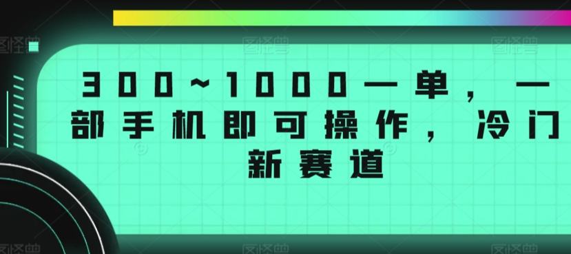 300~1000一单，一部手机即可操作，冷门新赛道-沐颜网创资源